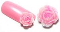 rosa Miniatur Rosen f�r N�gel 5 St�ck