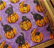 cute kitty pumpkin Halloween fabric 0.5m