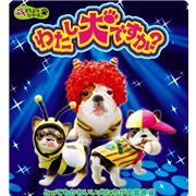 Re-Ment Am I Dog? Miniatur Box Hunde Japan