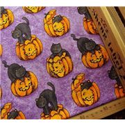 s�sser K�tzchen K�rbis Halloween Stoff 0,5m
