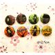 Halloween buttons witch ghost house button 8 pcs