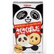 Panda Schokolade Biskuit Kekse