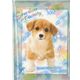 Kamio Mini Memo Pad Puppy in plastic case kawaii