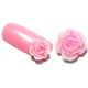 rosa Miniatur Rosen f�r N�gel 5 St�ck