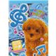 Crux Memo Pad Kawaii Poodle Japan Wanwan