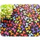 cute colourful dog bones fabric kawaii half yard