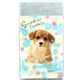 cute eraser with puppy from Crux Japan