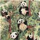 green panda bear Jo-Ann fabric with bamboo 0.5m