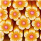 yellow flowers miniature cane clay fimo stick white 5pc