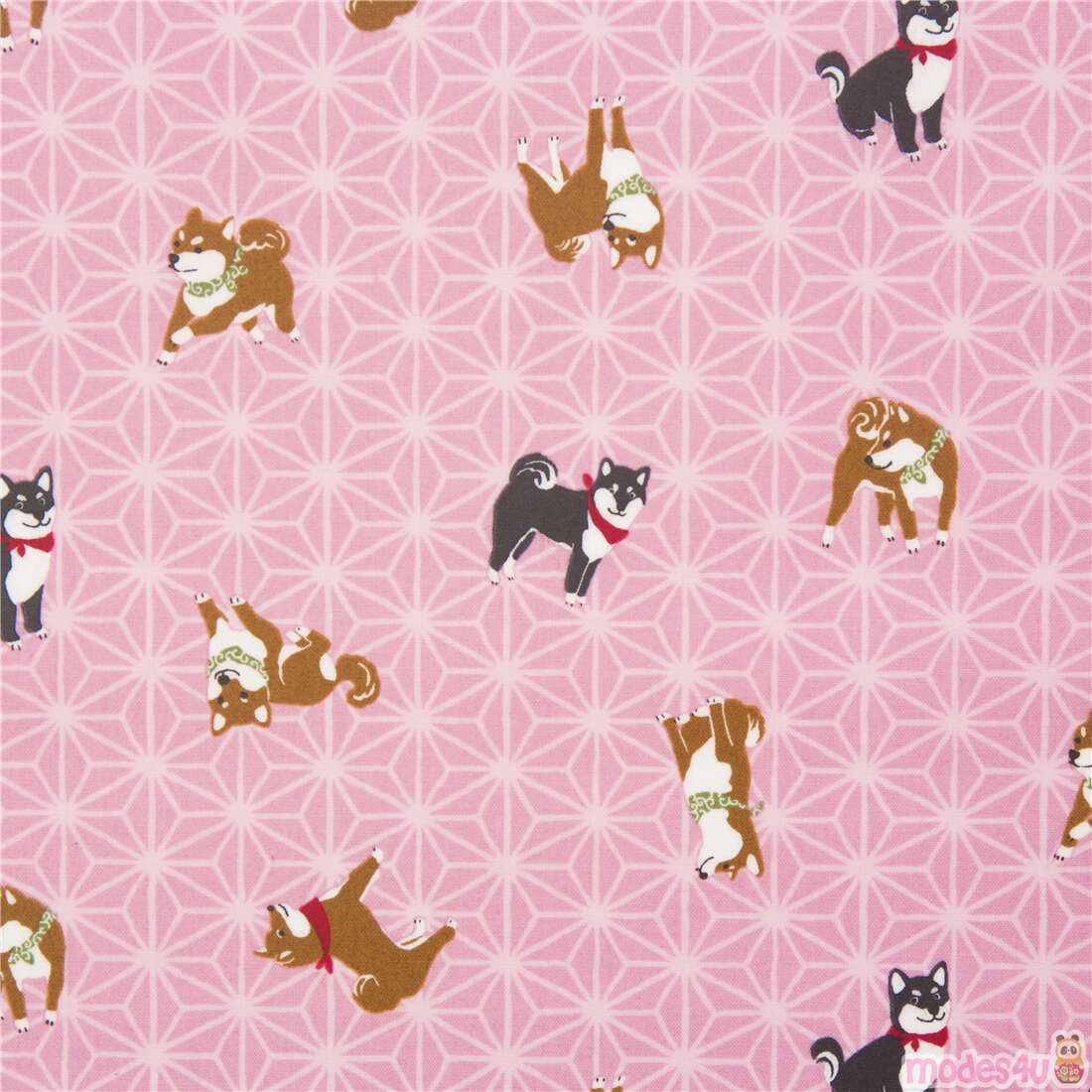 Shiba Inu Dogs Rice Ball Asanoha Geometric Fabric