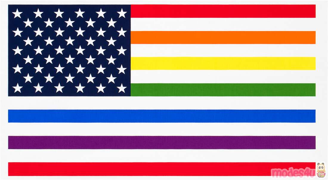 USA Amerikanisches Regenbogen-Pride-Flaggen-Panel Stoff