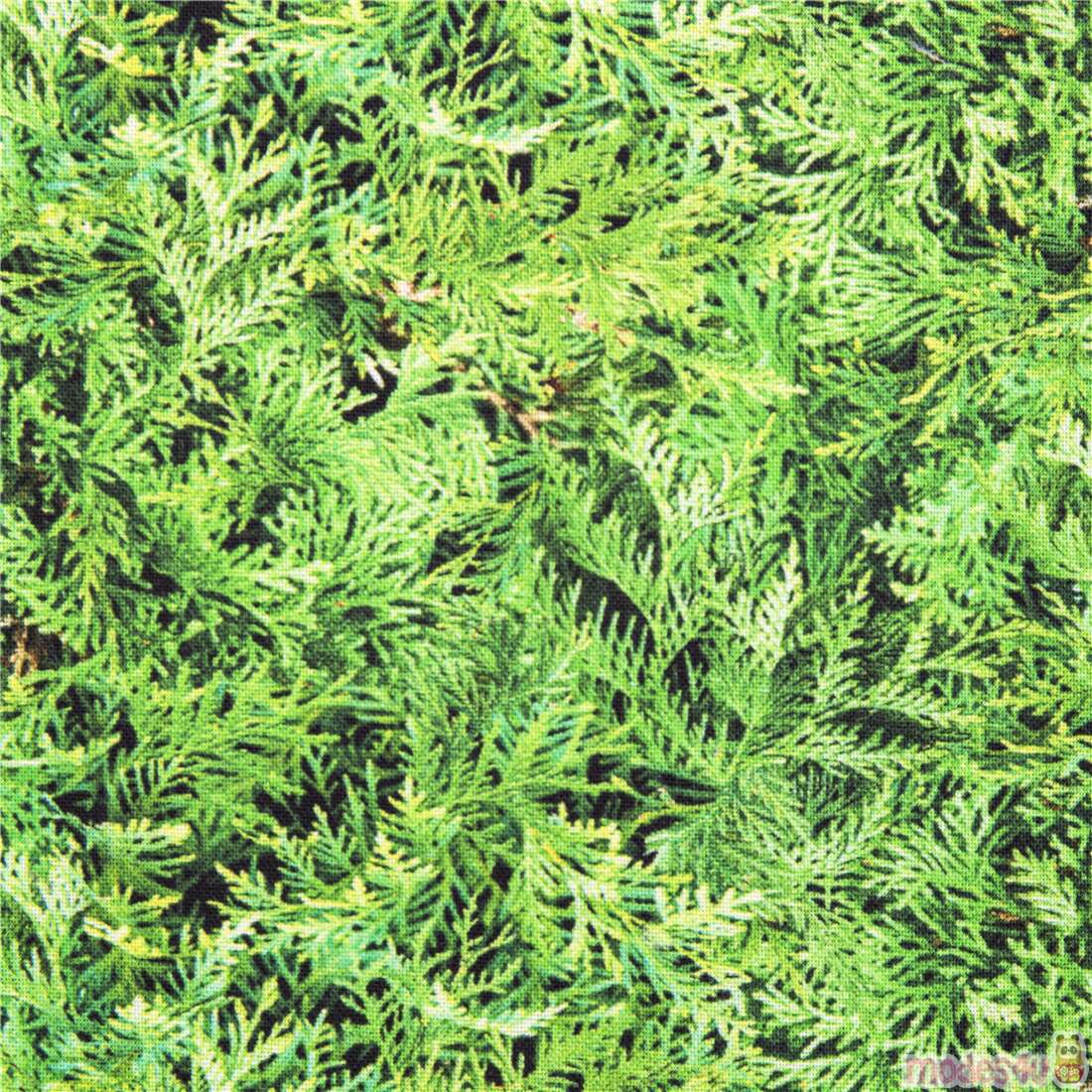 Evergreen Leaves Lush Foliage Fabric