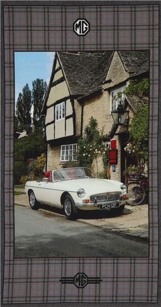 MG Collection Checkered Retro Car Fabric