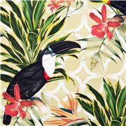 Grandes Fleurs Exotiques Oiseaux Toucan