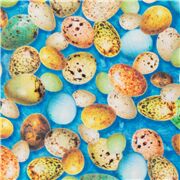 Uccello Maculato Pastello Uova Di Pasqua