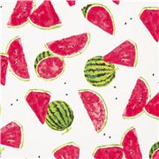 Tumbling Painted Green Red Watermelon