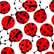 Ladybirds on White Stretch