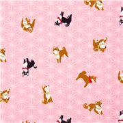 tessuto rosa chiaro oxford motivo geometrico asanoha cani shiba inu