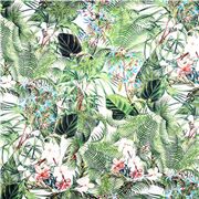 Lush Jungle Leaves