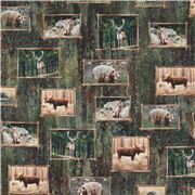 Wildlife Frame Deer Bears Woodland