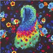 Multicolor Peacock Ornate Plumage