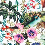 Tropical River Life