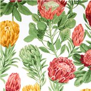 Flores Tropicales Protea Alcachofa