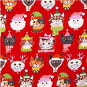 Kitty Christmas Cute Cats In Hats
