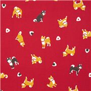 Tumbling Cute Shiba Inu Dogs and Rice Balls