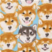 Cute Shiba Inu Dogs Painted Faces