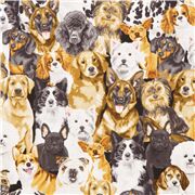 Packed Realistic Dogs Pet Expressions Poses