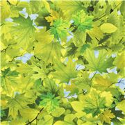 tela de naturaleza con hojas de &aacute;rbol verdes cielo azul Retazo