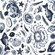 Catch of the Day Ocean Creatures