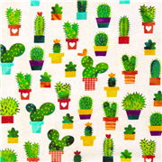 Cactus Heart House Plants Stretch
