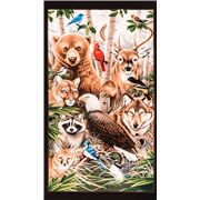 Wildlife Refuge Animals Forest Panel