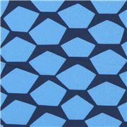 Blue Pentagon Shapes Remnant