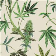 Tissu cr&egrave;me avec des feuilles de chanvre