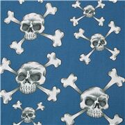 Skull and Crossbones Pirate Halloween