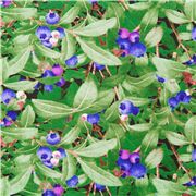 Blueberries Berry Bush Fresh Fruit Produce
