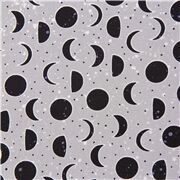 Moon Phases Astronomy Celestial Lunar