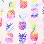 Tropical State of Mind Rainbow Pineapple