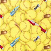 Sport Softball Bats Yellow Balls Competitive Athlete