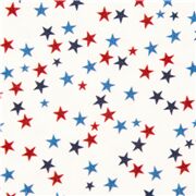 Stars in Red Blue 4th of July USA Patriotic