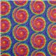 Regenbogen Kreise extra breit Minky 1